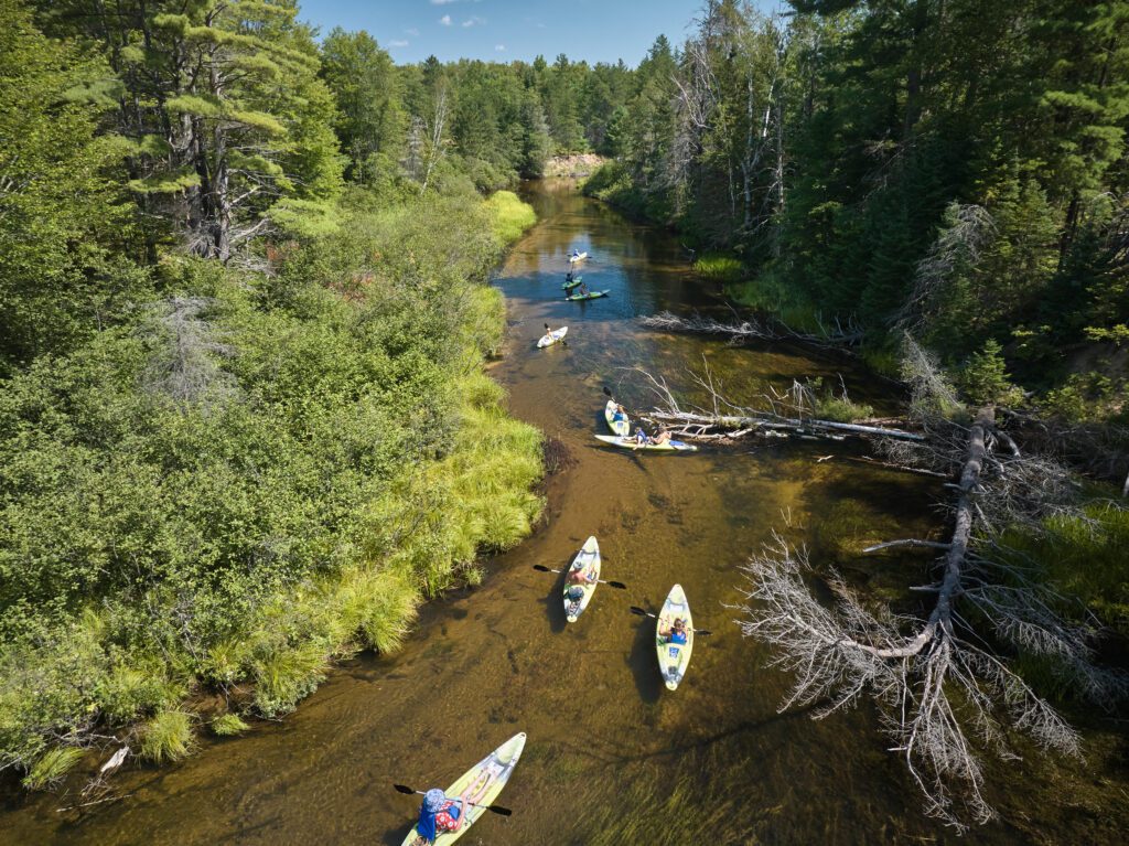 A group kayaking the Indian River, lined by lush green trees and brush in the UP on a beautiful day.