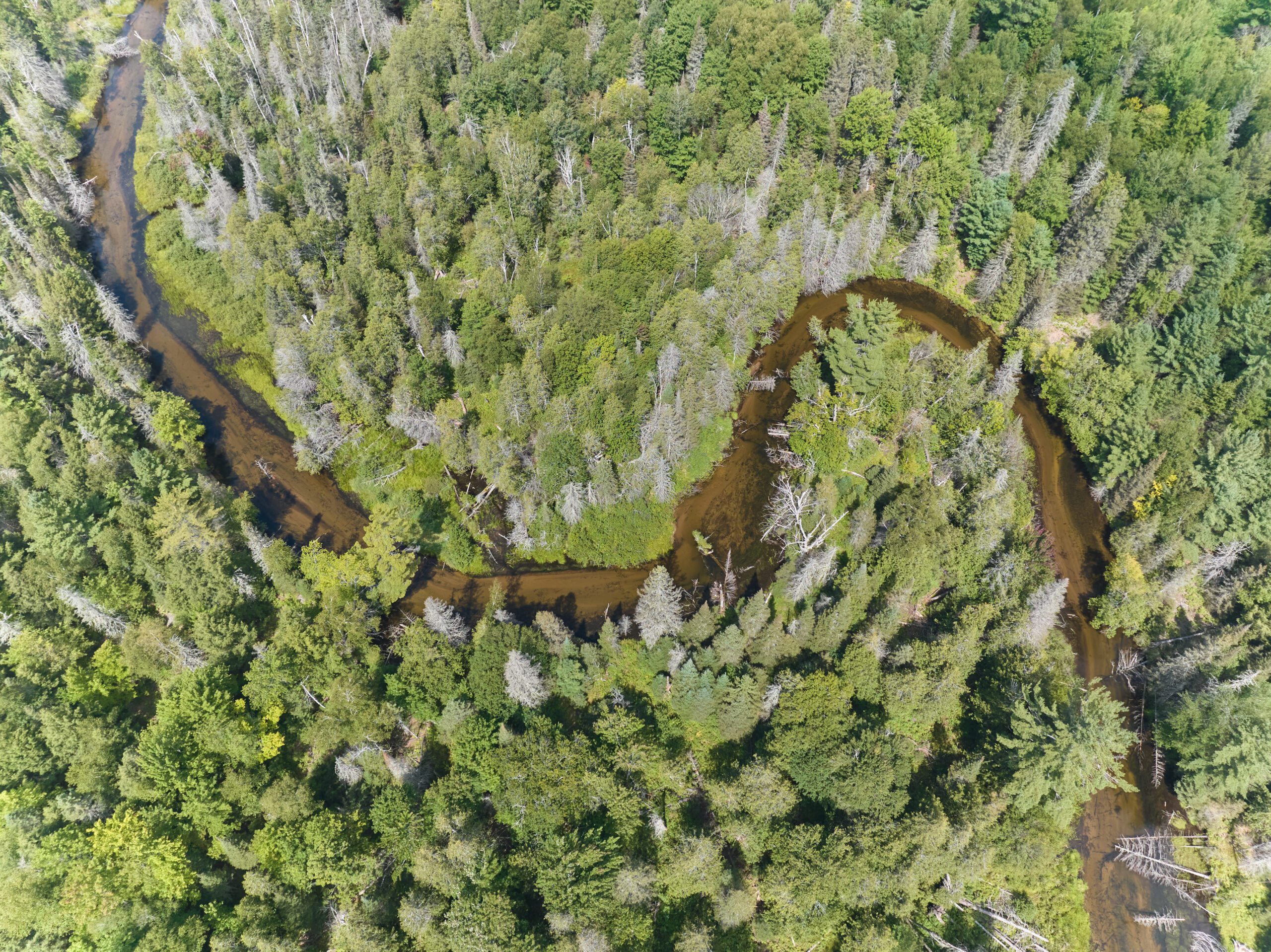 Leave No Trace: The 7 Principles