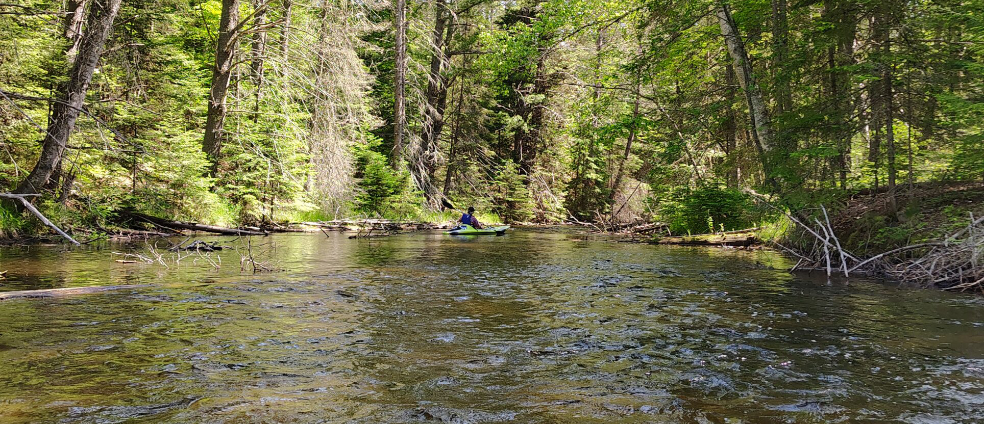 What You Can Expect as a First Time Kayaker